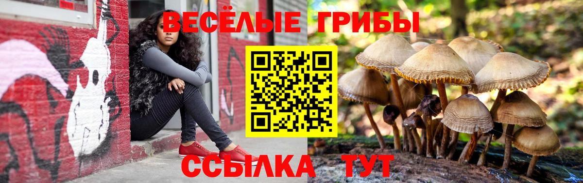 Псилоцибиновые грибы GOLDEN TEACHER  Псилоцибиновые грибы Cubensis  Уссурийск  Вход с VPN 